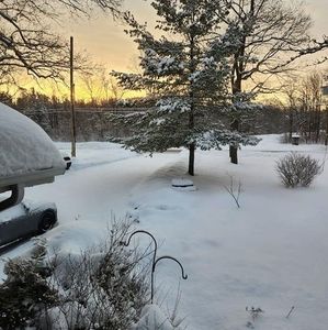 Meet your Posher, Dawn